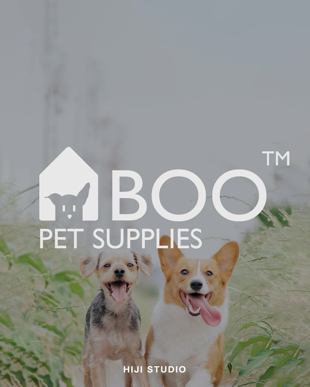 Boo Pet Supplies Brand Design by naantha on Dribbble