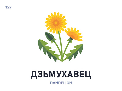 Дзьмухавéц / Dandelion belarus belarusian language daily flat icon illustration vector