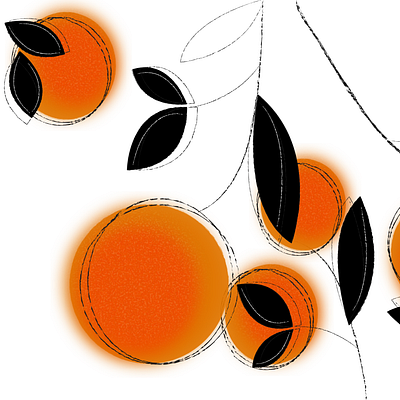 Oranges design illustration illustrator oranges poster vector