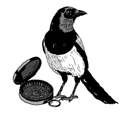 Vagabond animal artwork animal illustration birds design graphic design illustration magpie vector