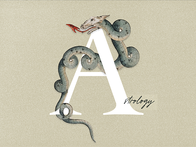 A - The Alphabet Project animation illustration lettering typography