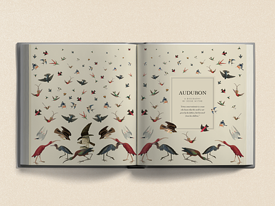 A is for...Audubon audubon birds book design book plates end papers illustration typography
