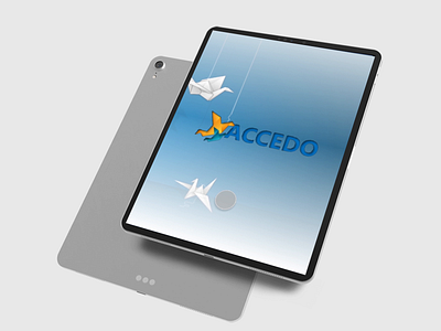 Application Design for Accedo