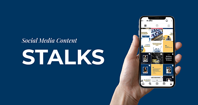 Social Media Content for Stalks branding content design figma graphic design identity instagram social media
