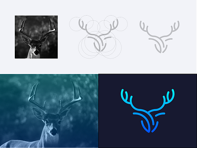 Deer Logo brand brand identity branding color deer deer logo design illustration logo logo designer minimal minimalist logo prio hans typography ui ux vector
