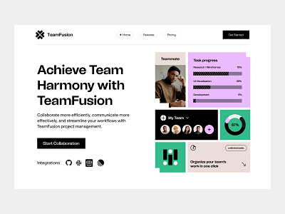Project Management Website bold clean creative design interface ui ux web web design