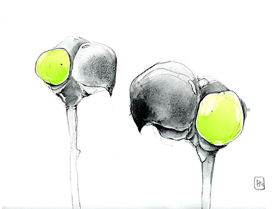 love🖤 bird birds black digital art digital illustration green illustration neon watercolor