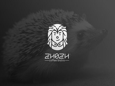 ZHOZH logo & pictogram design P1 brand identity branding character design graphic design icon illustration logo maskut pictogram typography visual identity هویت بصری پیکتوگرام