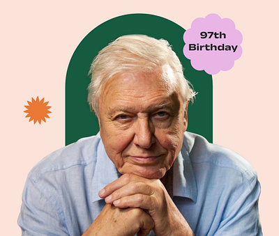 Happy Birthday - Sir David Attenborough graphic design happy birthday minimal design modern design 2023 post design poster design sir david attenborough