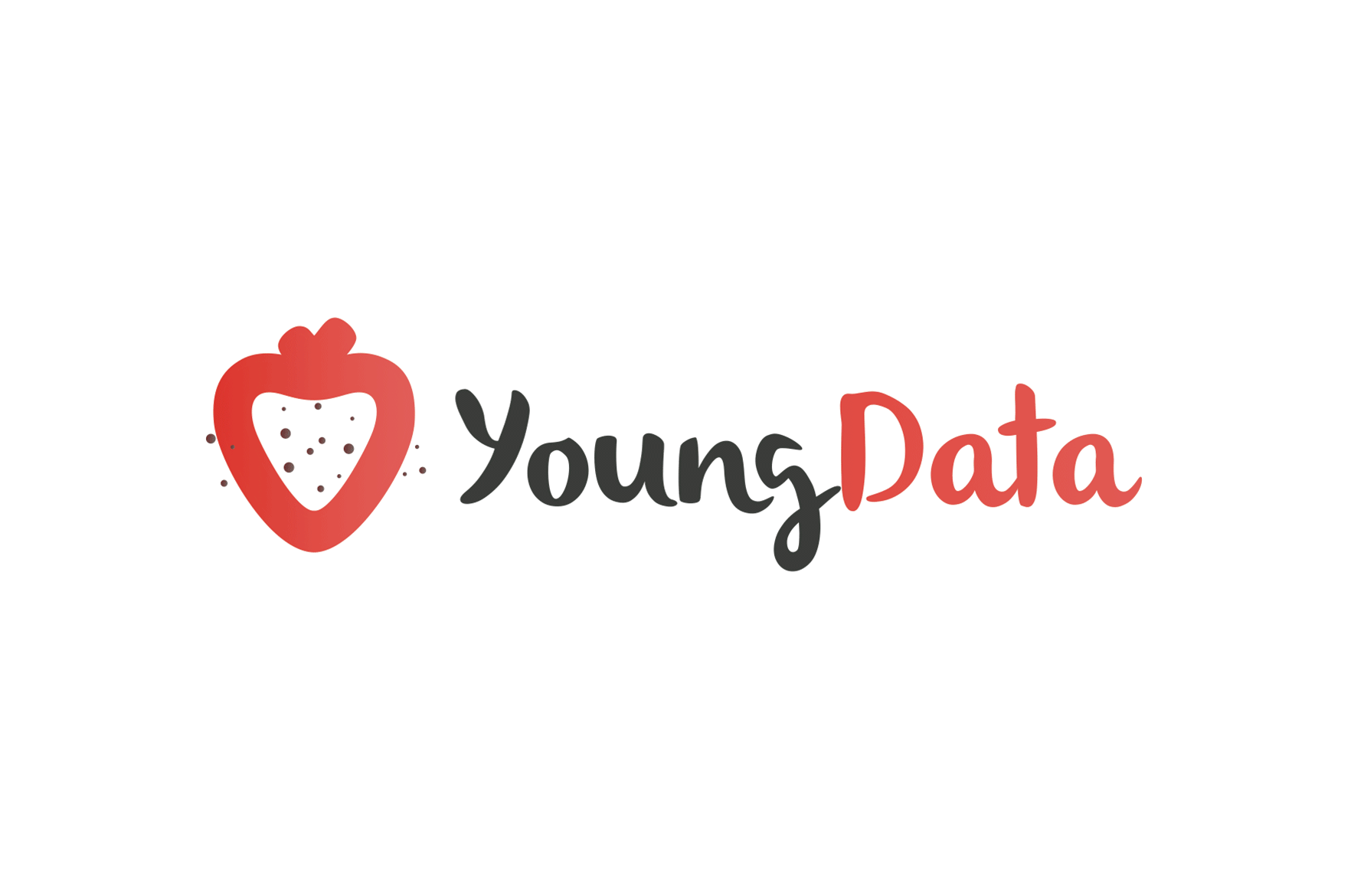 YoungData - Brand Identity branding graphic design logotype vector