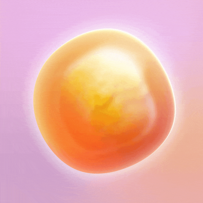 Cell 2d after effects animation design graphic design motion graphics