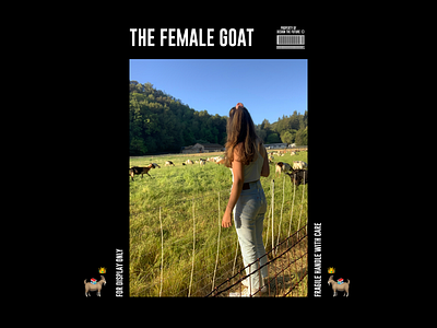 The Female Goat branding clean concept design graphicdesign minimal simple