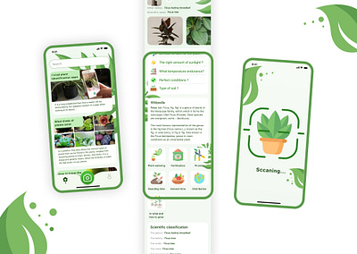Plant identification mobile app adobe app design figma illustration mobile app mobile design ui ux uxui