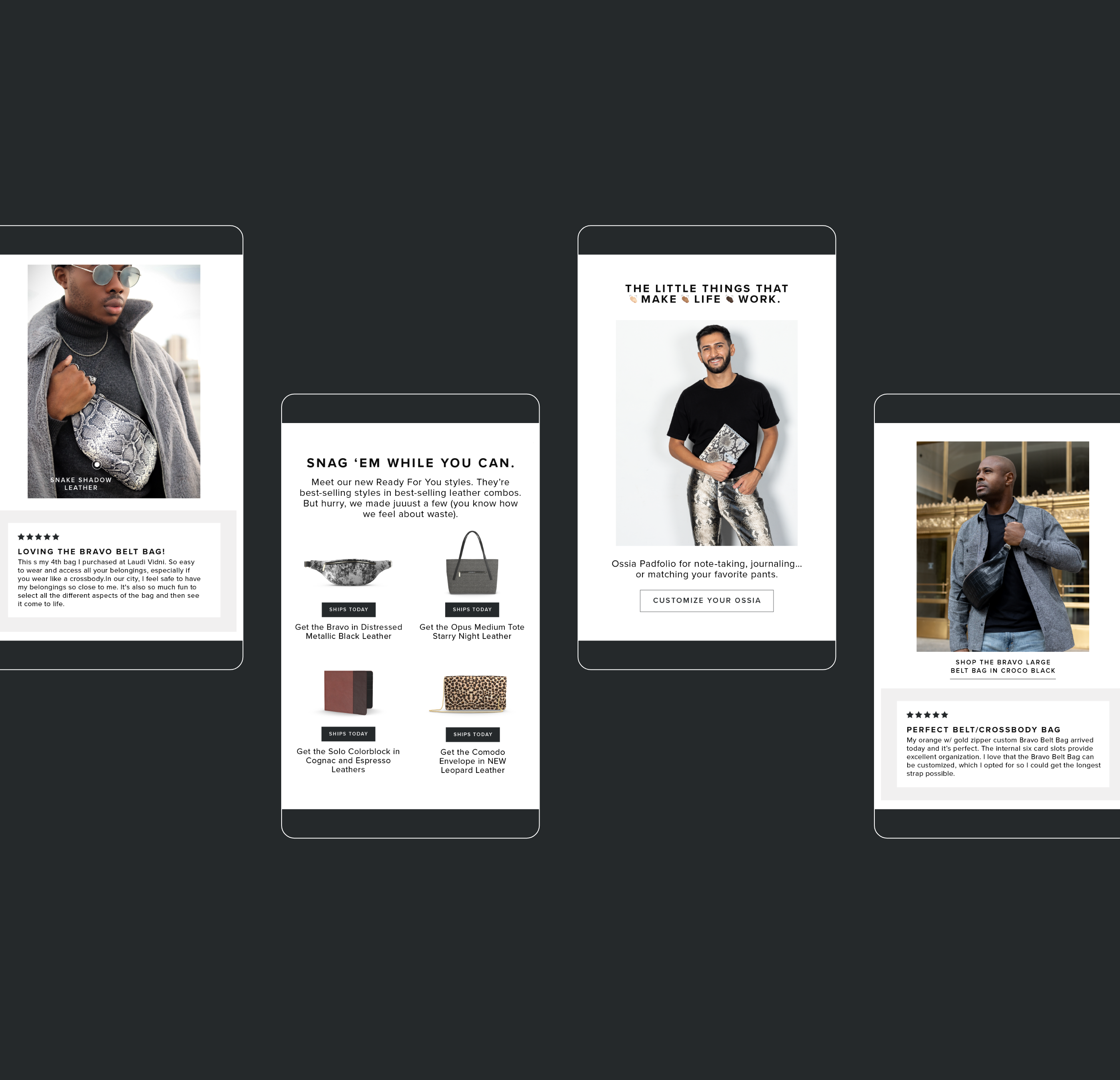 Laudi Vidni Emails design email design newsletter design