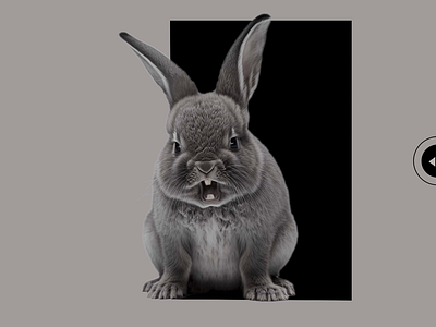 Find Your Inner Peace, Do Yoga. adobe photoshop animation cute figma graphic design grey inner peace midjourney rabbit yoga