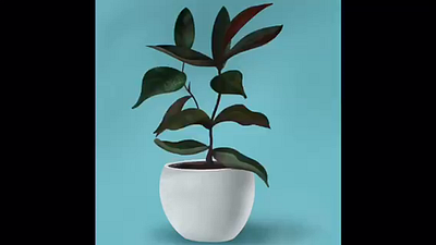 The plant🪴 3d animation balcony brown design digitalart green illustration mud plant pot procreate white