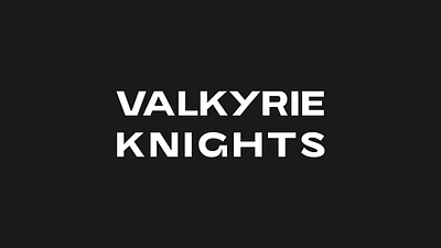 Valkyrie Knights - GRAPHICS banner design graphic design post social media