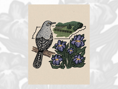 Northern Mockingbird birds design drawing flowers illustration iris northernmockingbird tennessee