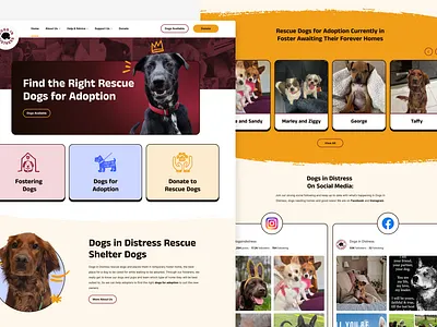 DID Homepage proposal. dog dog adoption dog rescue ui ui ux design uidesign