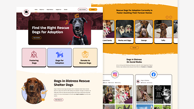 DID Homepage proposal. dog dog adoption dog rescue ui ui ux design uidesign