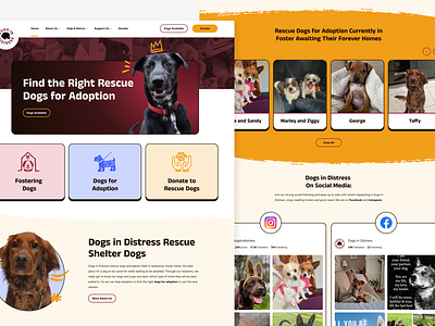 DID Homepage proposal. dog dog adoption dog rescue ui ui ux design uidesign