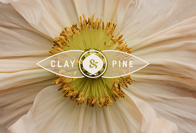 Clay & Pine Branding - Available for Purchase! branding branding design design graphic design logo