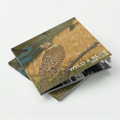 Wild & Blue "Restless" Album Artwork album album art album artwork album design bird illustration design graphic design illustration music typography