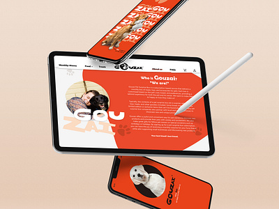 GOUZAI Pet Surprise Box | Web UI animation branding graphic design landing page logo logotype motion graphics pet pet care pet store ui ui motion ui ux website design