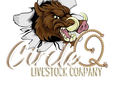 LIVESTOCK COMPANY LOGO branding design graphic design logo