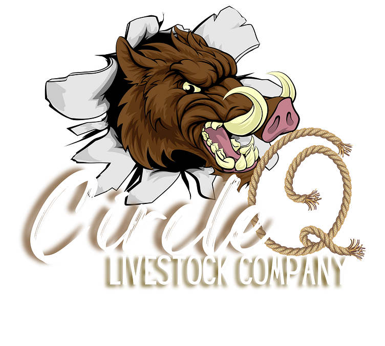 livestock-company-logo-by-ashley-kaye-on-dribbble
