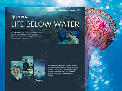 SDG 14 - Life Below Water branding design graphic design illustration landing page sdg theme typography ui ux website design wishtree wishtreetech