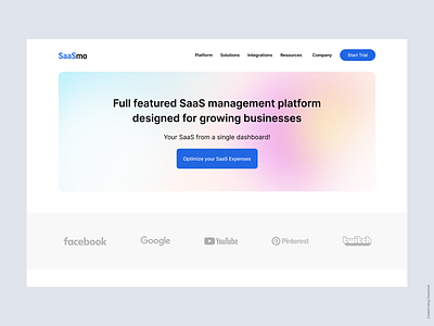 SaaS Management Landing Page ui ux