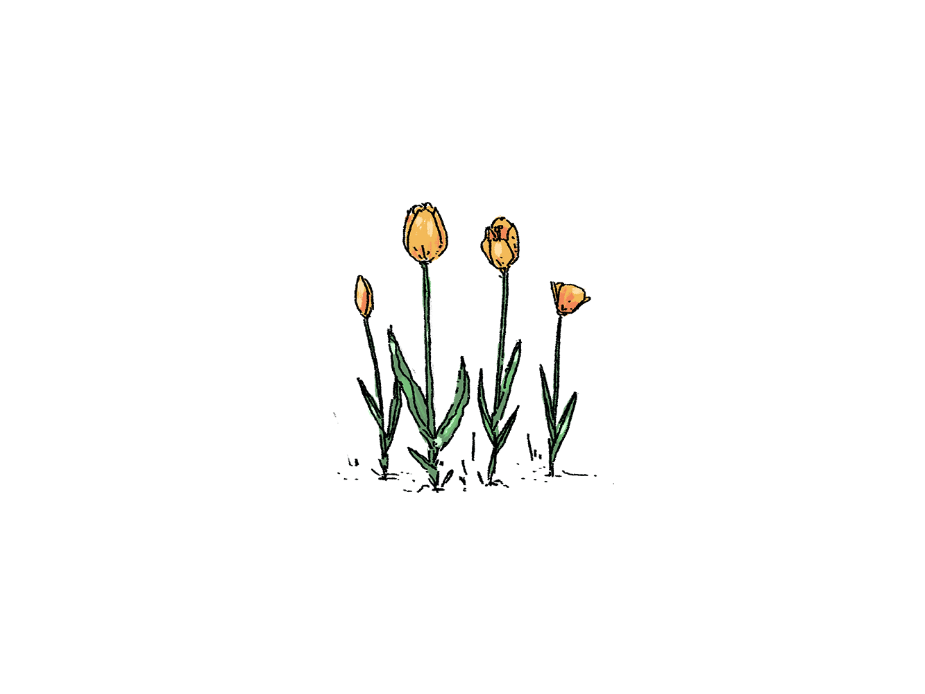 Loader Animation - Tulips animation gutensite ui