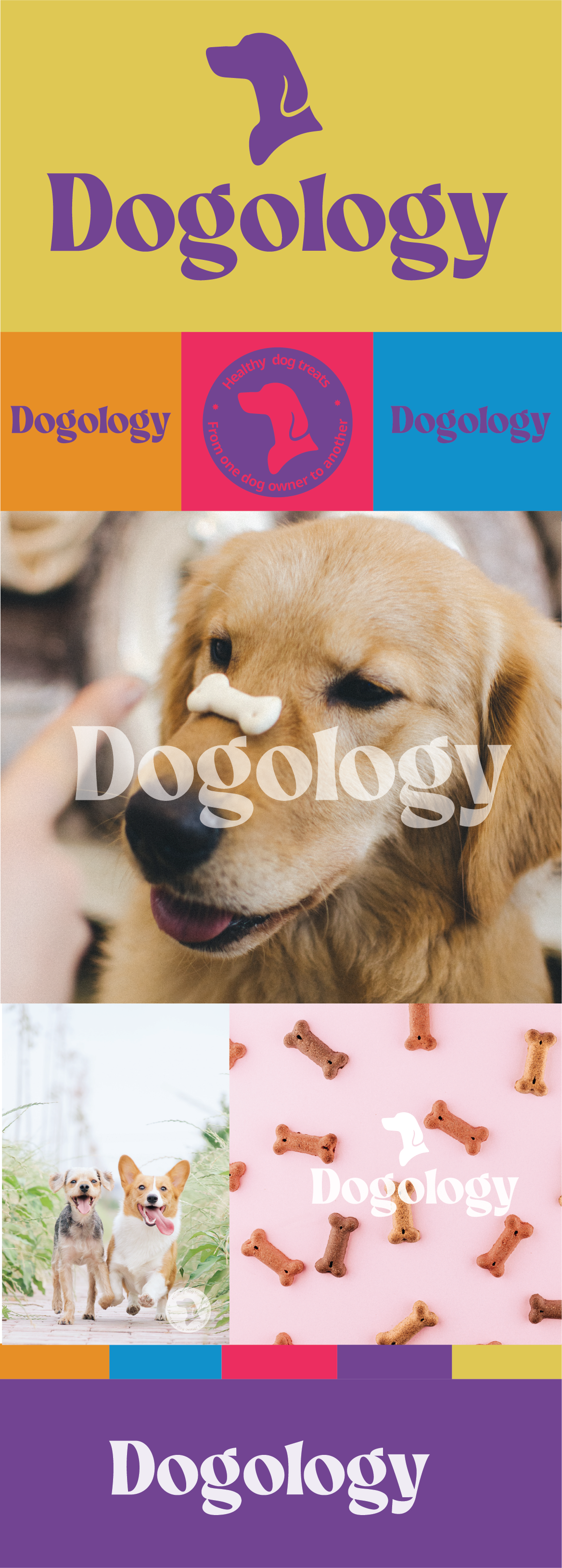 Dogology By Maria On Dribbble