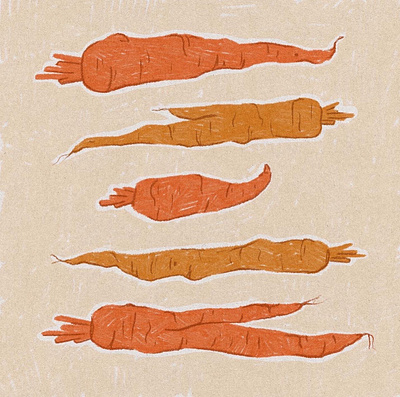 Carrots carrot design digitalillustration food hand drawn illustration paper sketchbook