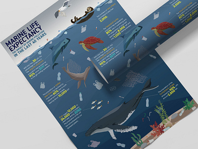 Marine Life Expectancy awareness campaign endangered infographic marineanimals plastic plastic pollution poster poster design