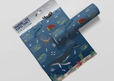 Marine Life Expectancy awareness campaign endangered infographic marineanimals plastic plastic pollution poster poster design
