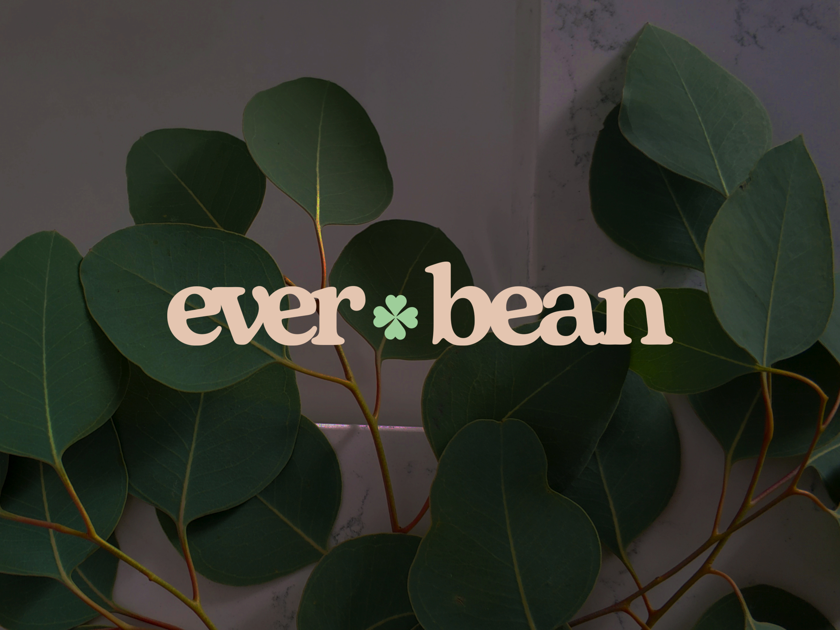 Everbean Coffee brand identity branding coffee coffee brand coffee packaging coffee shop design environmental graphic design local shop logo logo design packaging