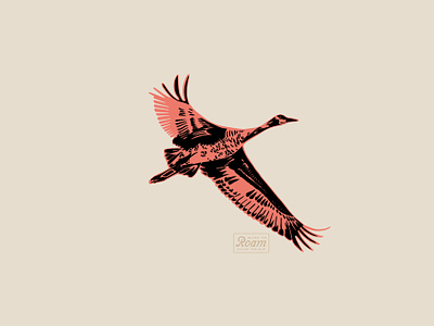 Sandhill Crane art bird crane design hand drawn illustration illustrator lettering midwest nebraska outdoors retro roam sandhills crane sketch vintage