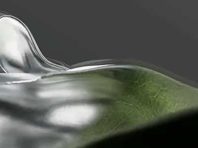 TDC PR online responsive typography web