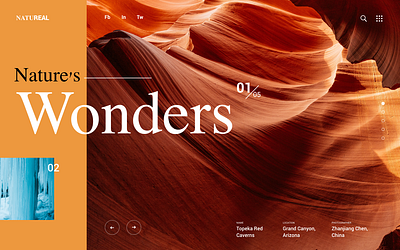 Nature's Wonders Concept typography ui web web design