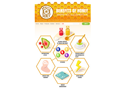 benefits of honey branding cartoon concept design honey illustration isometric logo ui vector web