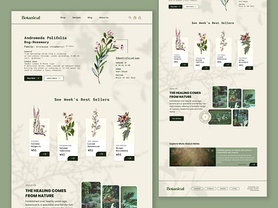 Botanical - Herb Shop botanical design flower garden green herb herbal home page landing page minimal plant plants shop store ui ux