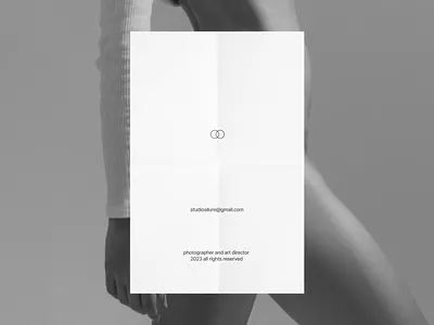 Studio Allure 03 brand identity branding design design 2023 graphic design interface logo photographer photography portfolio ui ux vector visual design