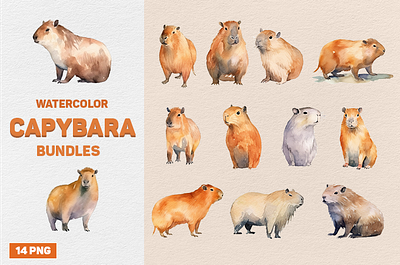 Watercolor Capybara Bundles bundle capybara clipart illustration watercolor