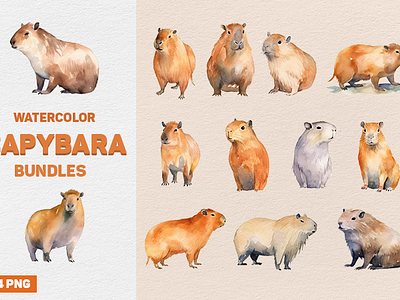 Watercolor Capybara Bundles bundle capybara clipart illustration watercolor