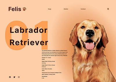 Dog care website