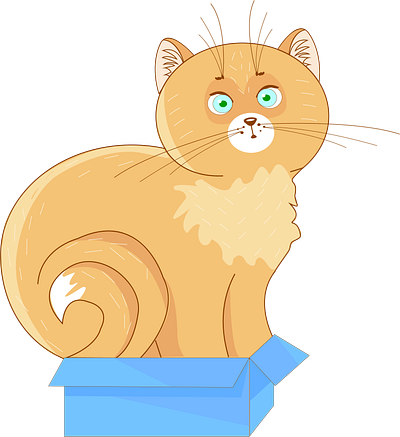 Cat in the box graphic design illustration