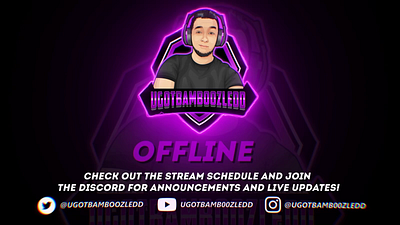 Offline screen 2d art branding design fiverr graphic design illustration logo stream streaming twitch ui vector