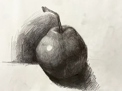 Pencil Still Life Sketch artist artwork design illustration logo portrait portrait art sketch sketchbook